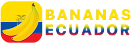 bananasecuador.com Logo